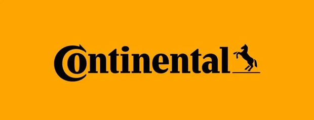 国际轮胎巨头2024年销售额(图3)