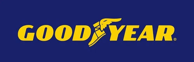 国际轮胎巨头2024年销售额(图2)