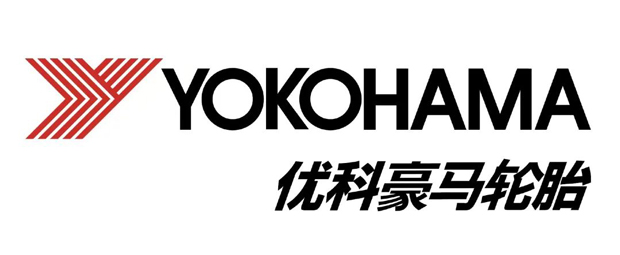 国际轮胎巨头2024年销售额(图7)