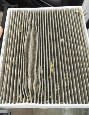 发动机寿命靠它？机油滤清器的科学保养指南(图14)