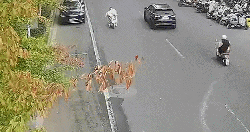 求求你别再用电动车“挡风被”了！(图2)