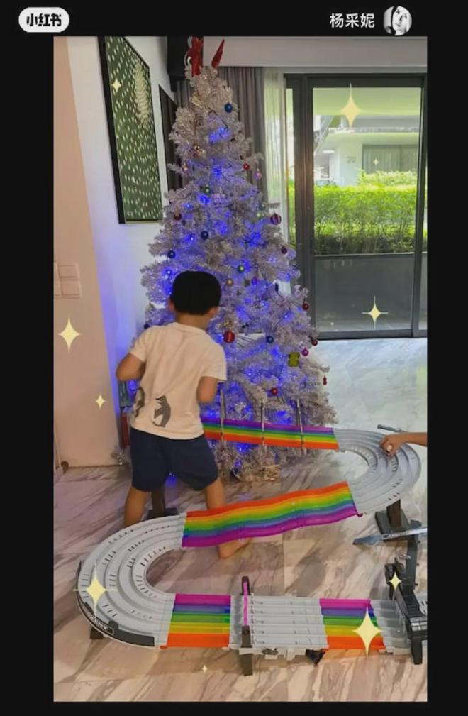 楊采妮進駐小紅書曬近照超凍齡新加坡豪宅變雙胞胎兒子賽車場(图4)