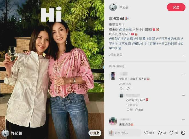 楊采妮進駐小紅書曬近照超凍齡新加坡豪宅變雙胞胎兒子賽車場(图6)