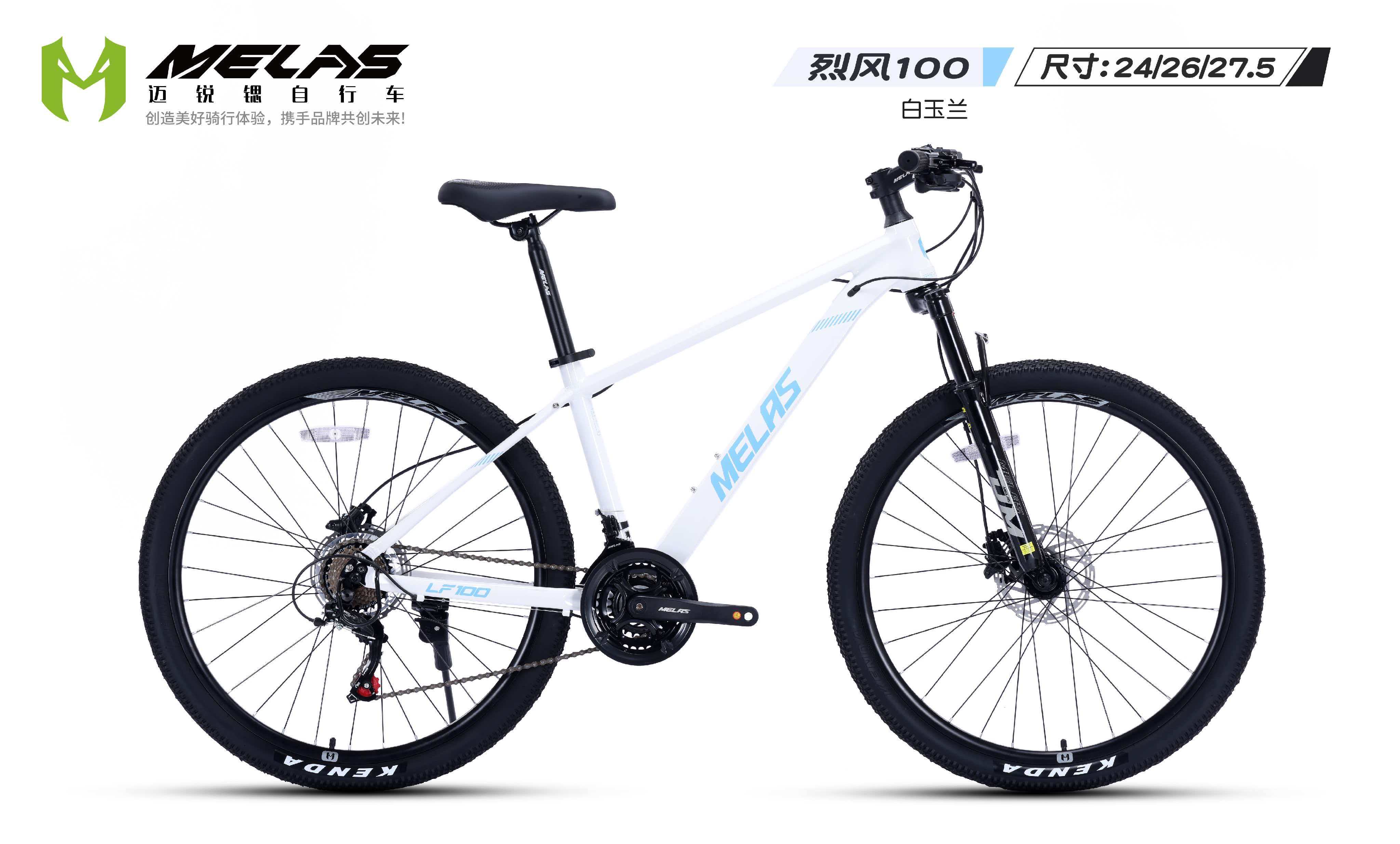 2026年Q1高品质自行车品牌选购与口碑深度解析(图2)